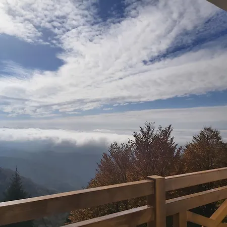 Nebeska Treska * Kopaonik