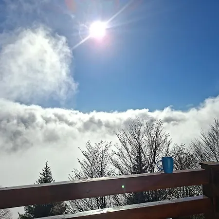 Apart Otel Nebeska Treska Kopaonik
