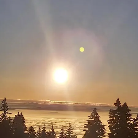 Nebeska Treska Apart Otel Kopaonik