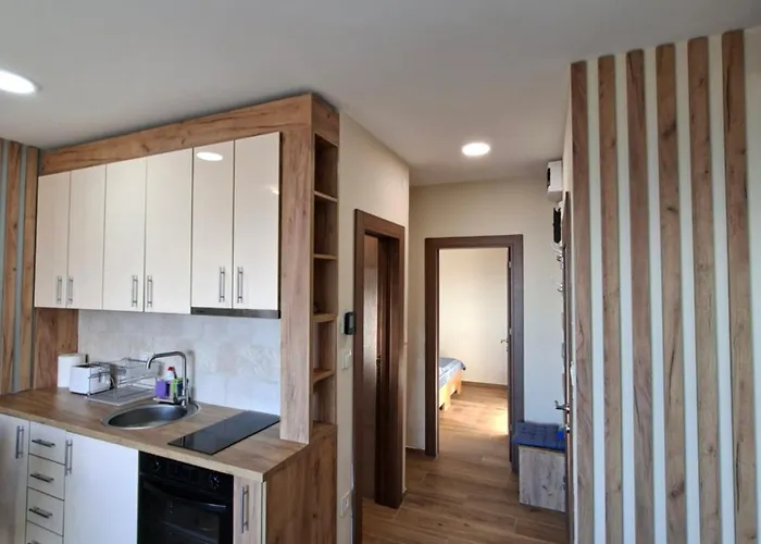 Hotel apartamentowy Nebeska Treska Kopaonik