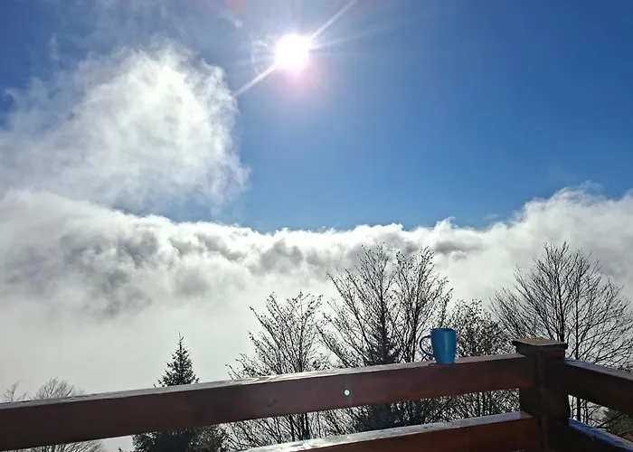 Hotel apartamentowy Nebeska Treska Kopaonik