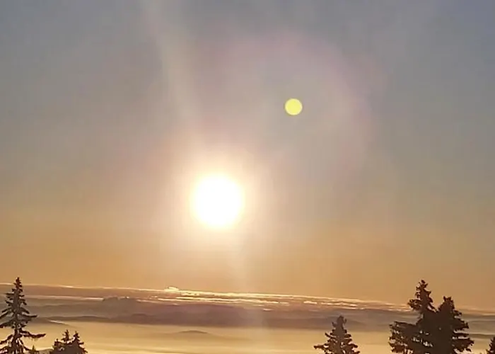 Nebeska Treska Апарт-отель Копаоник